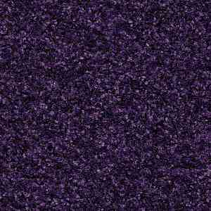 Грязезащитные покрытия Forbo Coral Brush 5709 royal purple фото ##numphoto## | FLOORDEALER